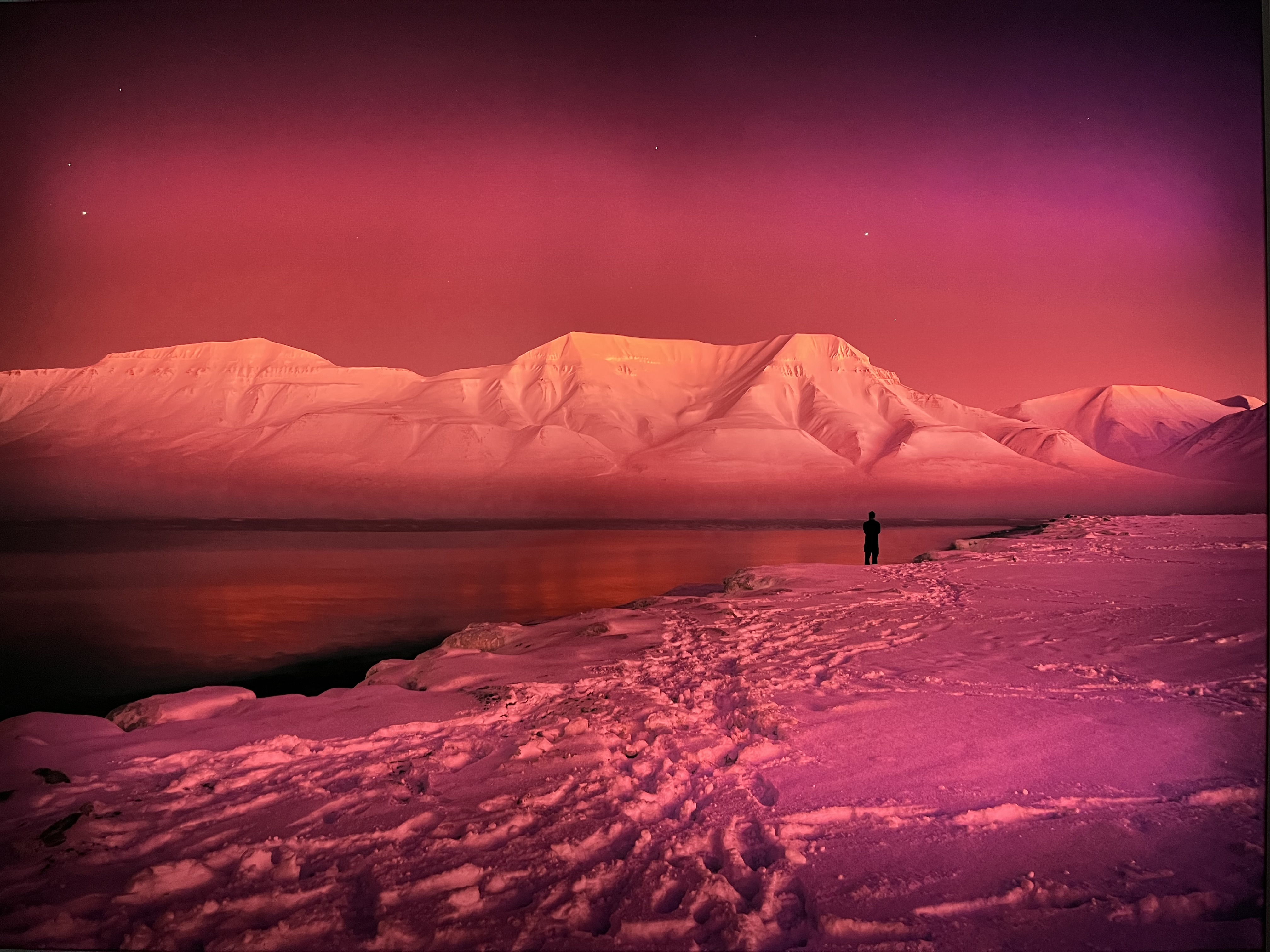 Studiereizen Ellen Brouwers